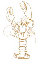 Lobster